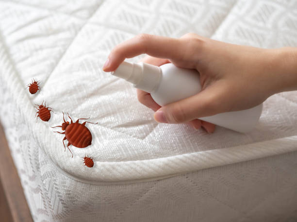 Best Spider Control Near Me  in Vandercook Lake, MI