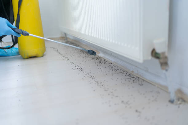 Best Best Pest Control Companies  in Vandercook Lake, MI