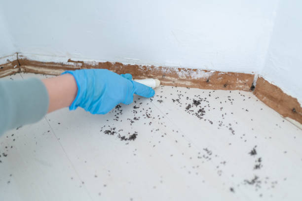 Best Pest Control for Businesses  in Vandercook Lake, MI